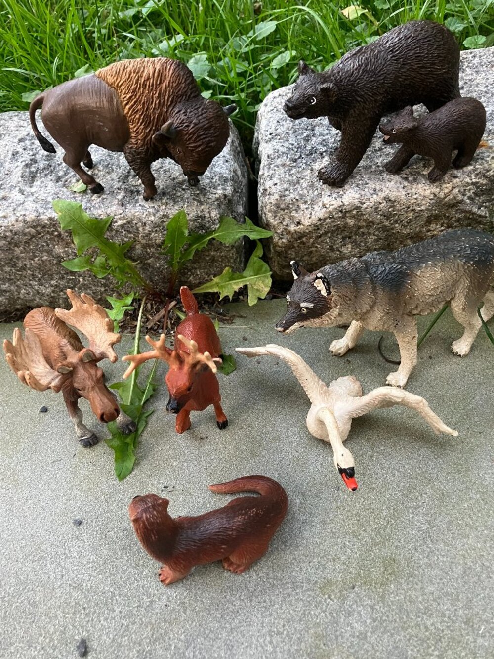 Vintage Safari Ltd 1990s Wildlife Animal Figures Lot 🐺🦬🫎🐻